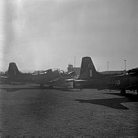 OhG1813-79.jpg