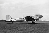 MUS110017.jpg