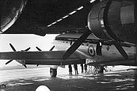 PRS233-12a.JPG