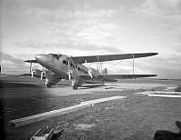 OhG16-40_1.jpg