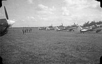 ALB1617713010.jpg