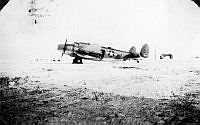 ALB845871a067.jpg