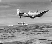 ALB971531337.jpg