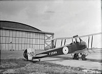 ALB8319526370.jpg