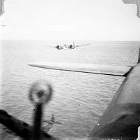 ALB1919010076.JPG