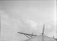 ALB8319526371.jpg