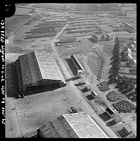 GisTin1frame8520_1.JPG
