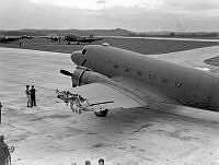WhG3300-45.jpg