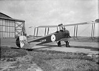 ALB8319526381.jpg