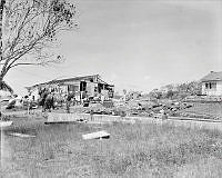 LbG264-52_1.JPG
