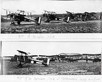ALB990835a.jpg
