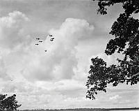 PR4920.jpg