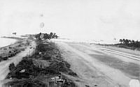 ALB873251062.jpg
