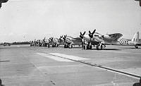 ALB971531313.jpg