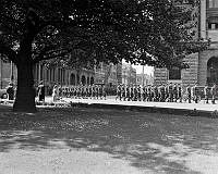 DM190-52.jpg