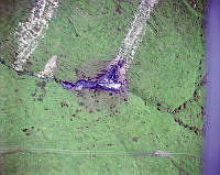 CrNZ6208C9.JPG