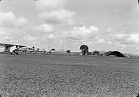 2013-227.317.JPG