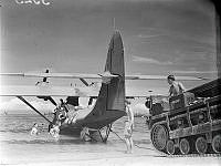 PR3325.JPG