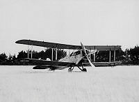 MUS1000126.jpg