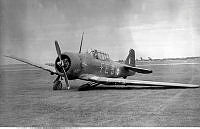 DWNZ1044a.jpg