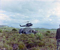CrNZ3813JJ3.JPG