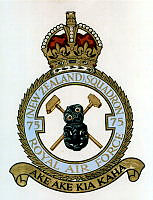 75 (NZ) SQUADRON_1_1.tif