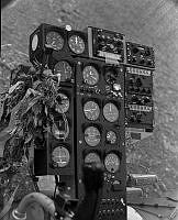 WhG1302-9-81.jpg