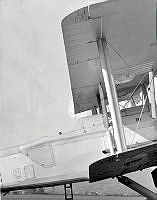 MUS03042.jpg