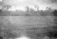 2006-006.1q.jpg