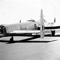 ALB971531305.jpg