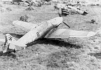 ALB198236513028.jpg
