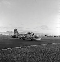WgG697-73.jpg