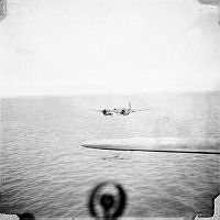 ALB1919010075.JPG