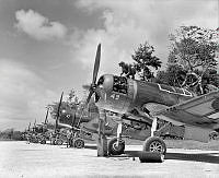 PR4365.jpg