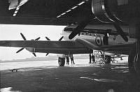 PRS233-11a.JPG