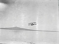 ALB8319526050.jpg