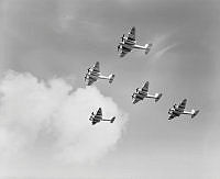 WhG3207-52_1_1.JPG