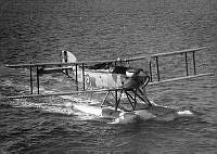 ALB862456032.jpg