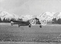 MUS970988.jpg