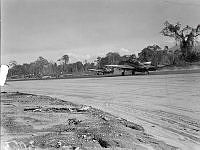 PR3053_1.JPG
