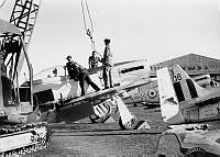 MUS9809511_1.jpg