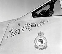 NIC75.jpg