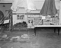 WhG4187-53_1_1_1.JPG