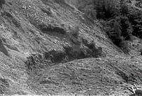 WgG3394-25a-74.jpg