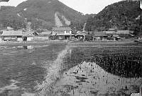 ALB13191086.jpg