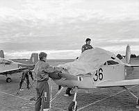 WgG1460-78.jpg