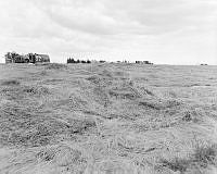 OhG9700-60.JPG