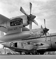 WhG195-73.jpg