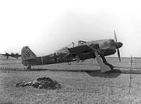 MUS0901420.jpg