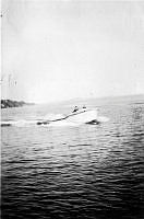ALB2604117018.jpg
